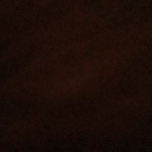 Meet your Posher, Jacqueline